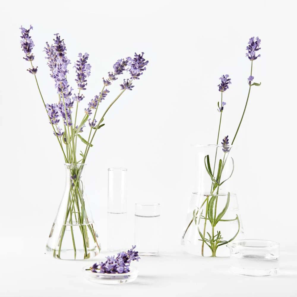 Crema viso anti-rughe lavanda rigenerante - Image 4