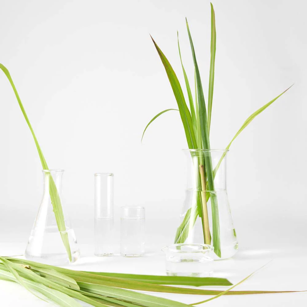 Crema viso idratante riequilibrante lemongrass - Image 4