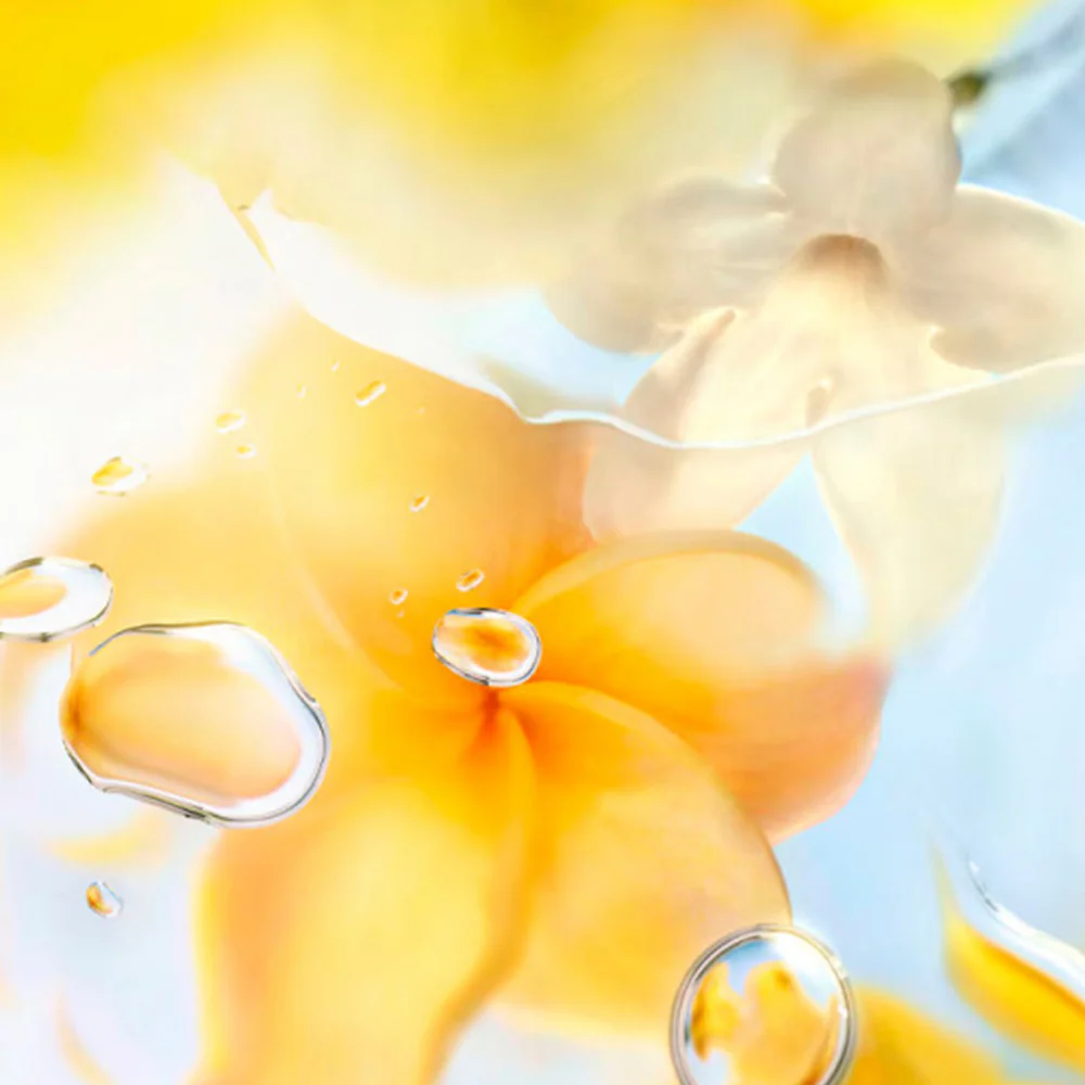 Ô Zenith Eau de Toilette - Image 6