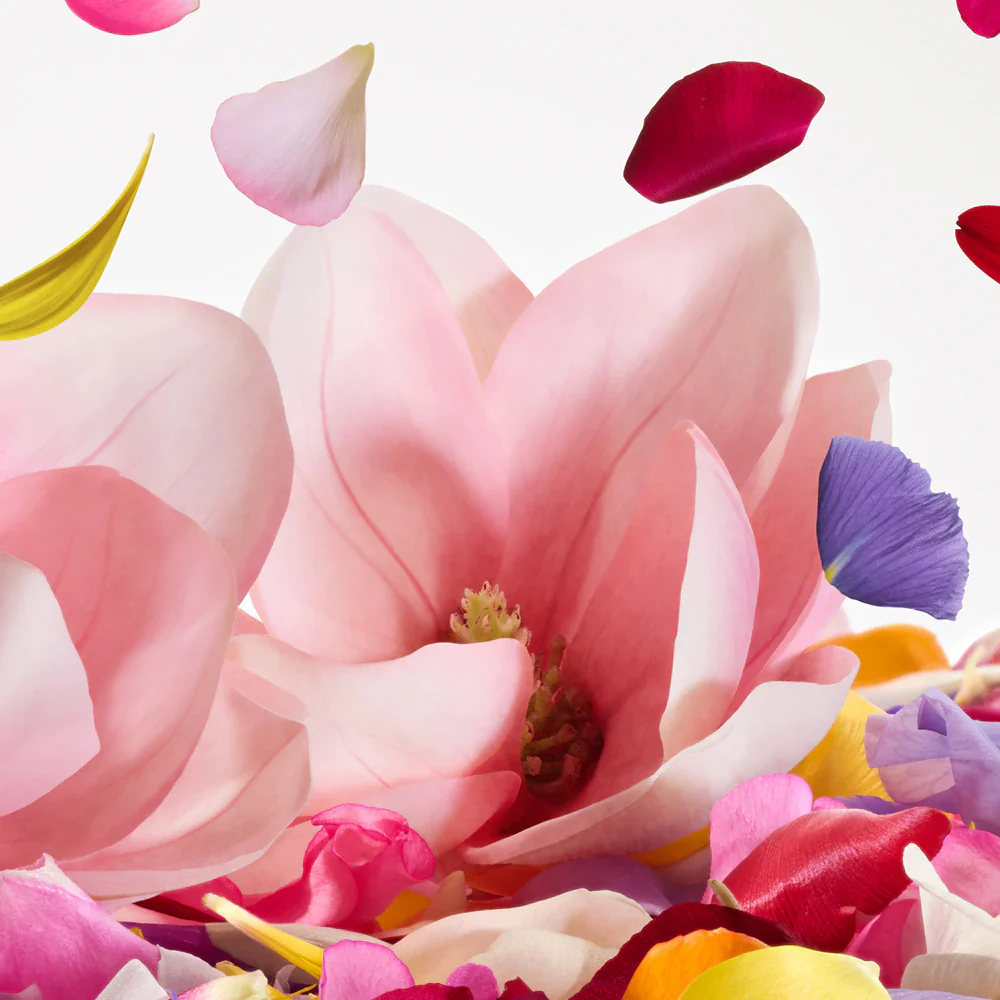 Dolce & Gabbana Dolce Magnolia Eau de Parfum - Image 4