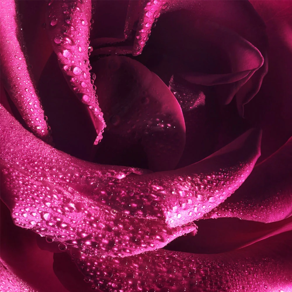 Flowerbomb Extreme Eau de Parfum Intense - Image 20