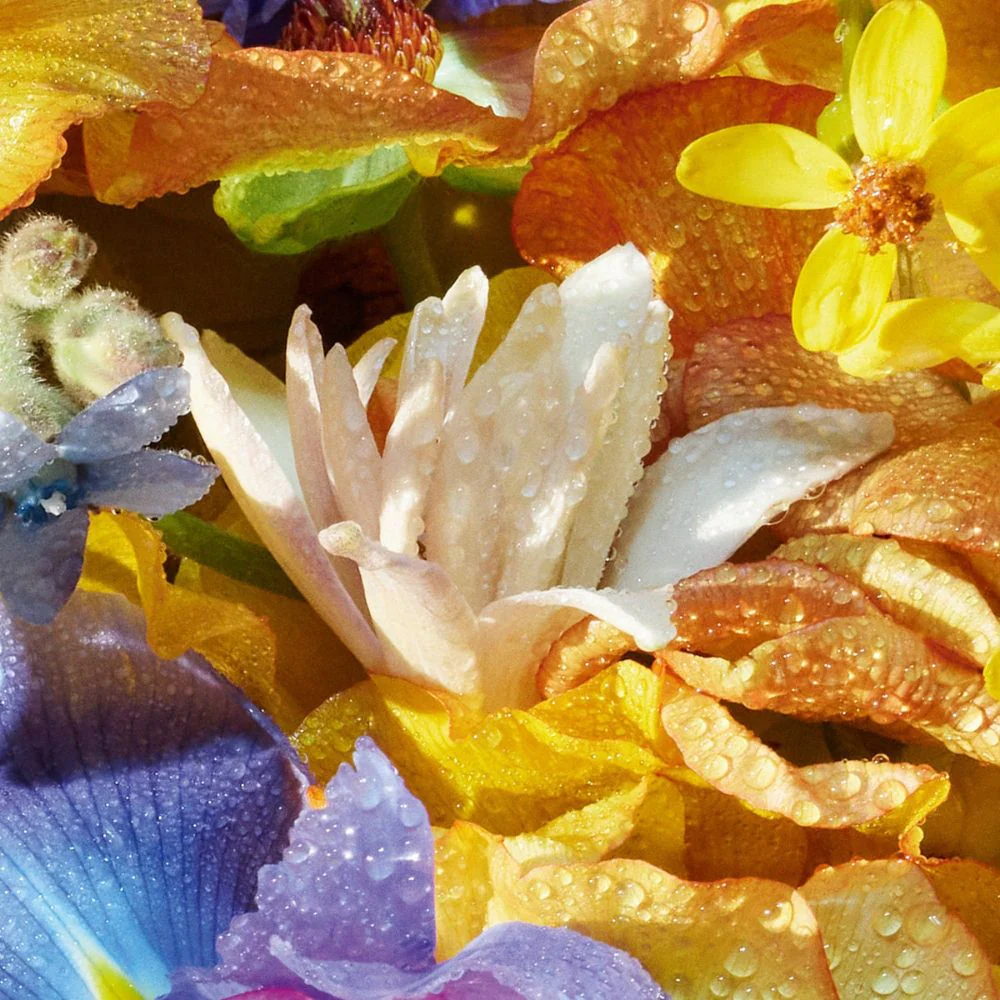 Guerlain Aqua Allegoria Florabloom Crema Mani - Image 4