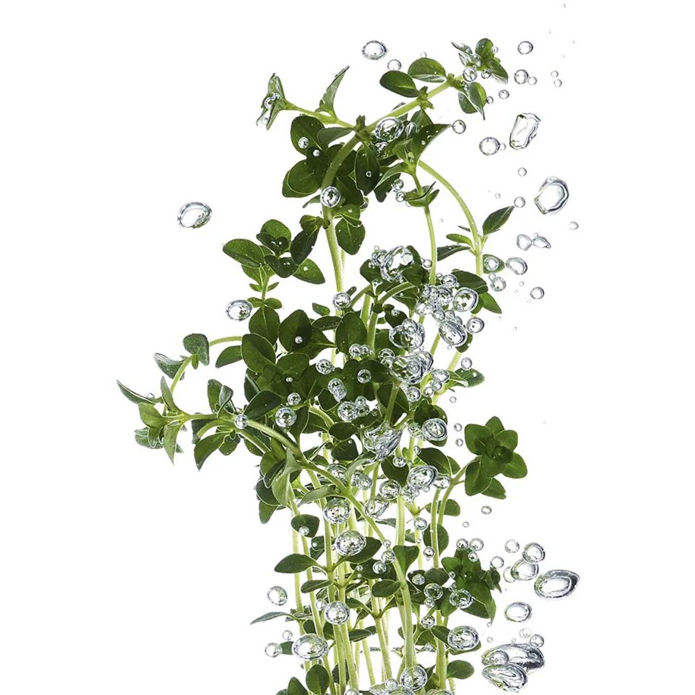 Konjac Spugna detergente esfoliante - Image 5