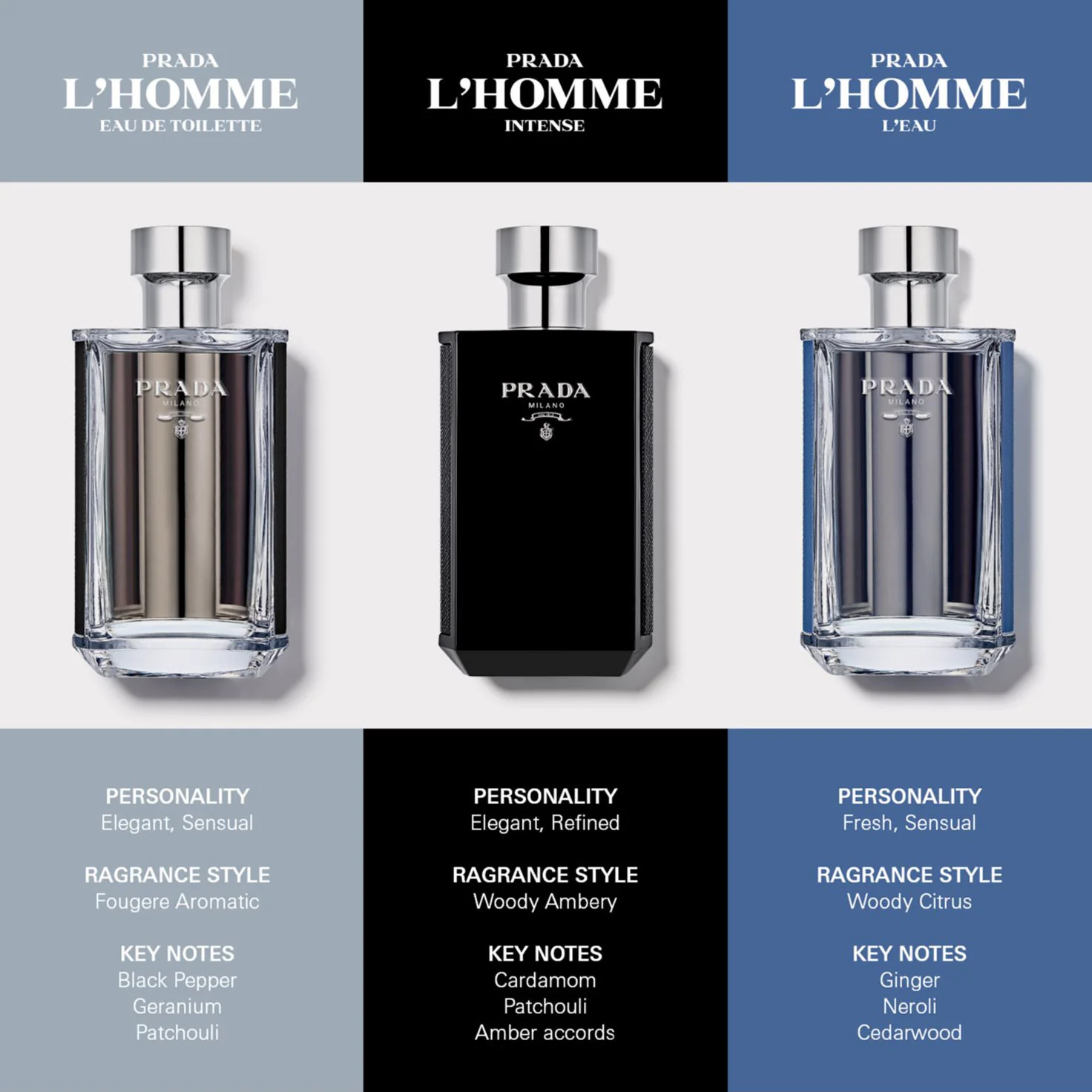 L'Homme Eau de toilette - Image 3