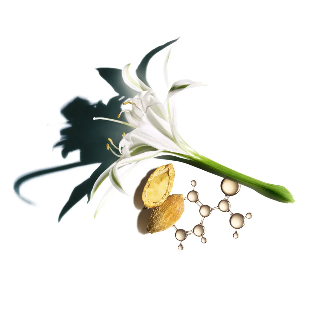 Nutri-Lumiere SPF15 Brightening Complex - Image 3