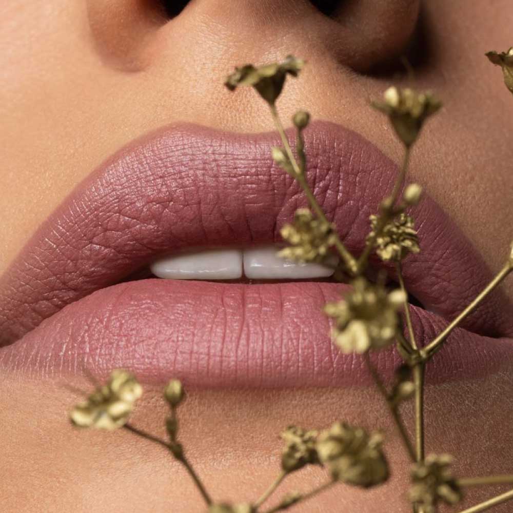 Petalips Winter Blooming Rossetto - Image 2