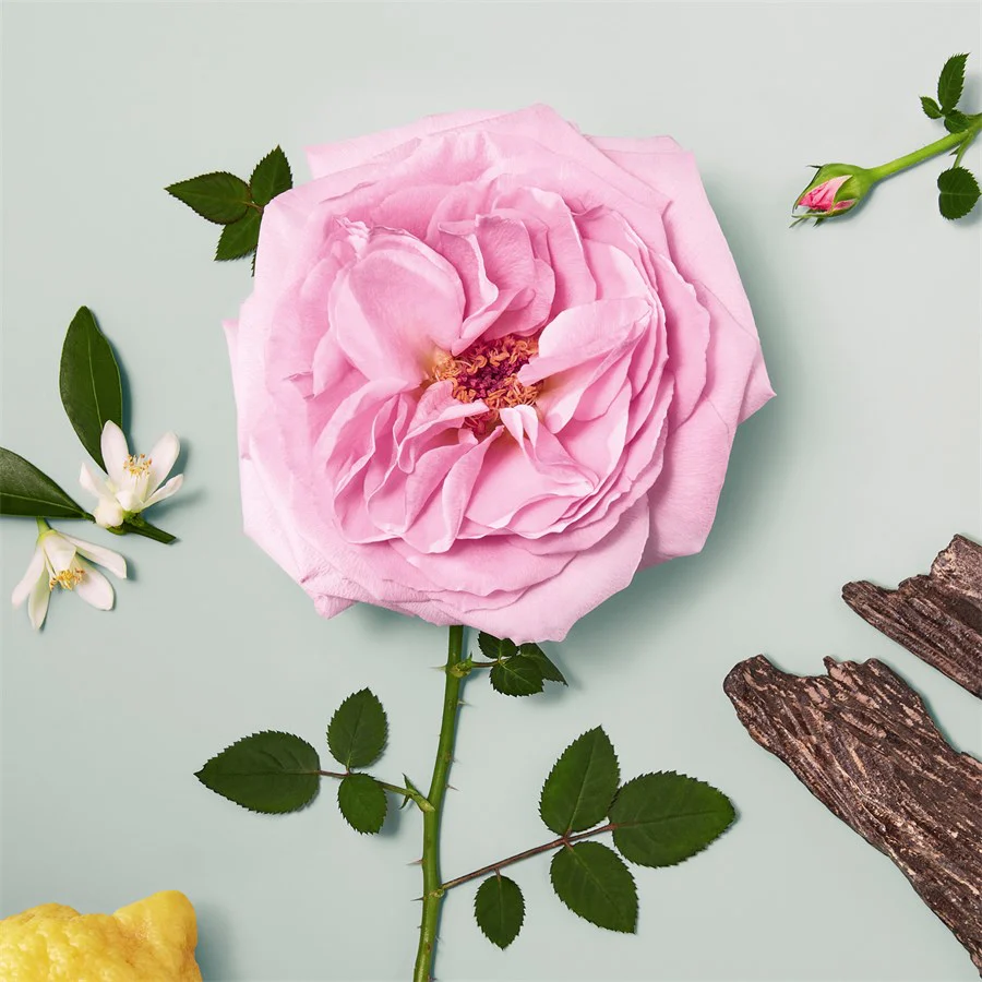 Signature Naturelle Eau de parfum - Image 9