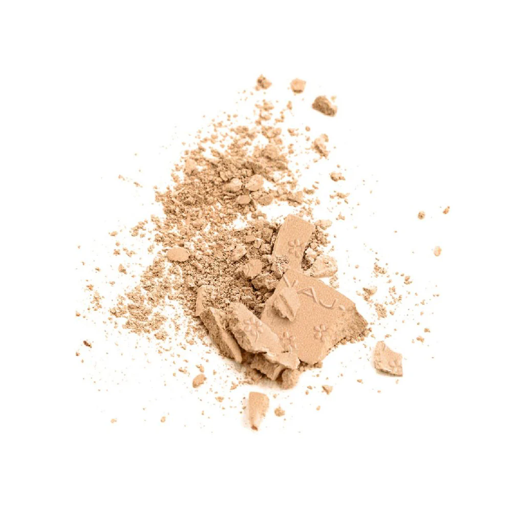 Silk Feel Wet&Dry Powder Foundation - Image 12