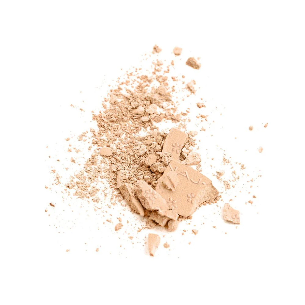Silk Feel Wet&Dry Powder Foundation - Image 4
