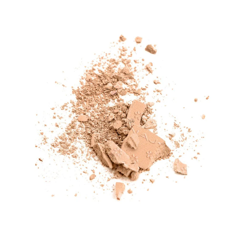 Silk Feel Wet&Dry Powder Foundation - Image 8