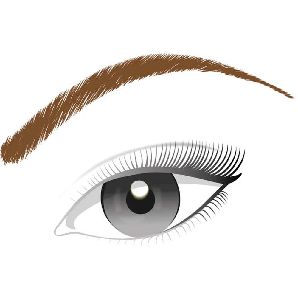 Superliner Brow Artist - Image 5