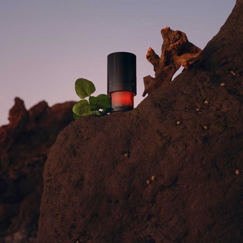 Trussardi Primo Eau de Parfum - Image 17