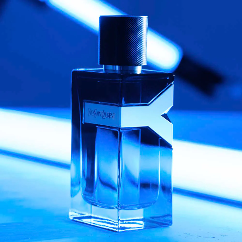 Y Edp - Image 3