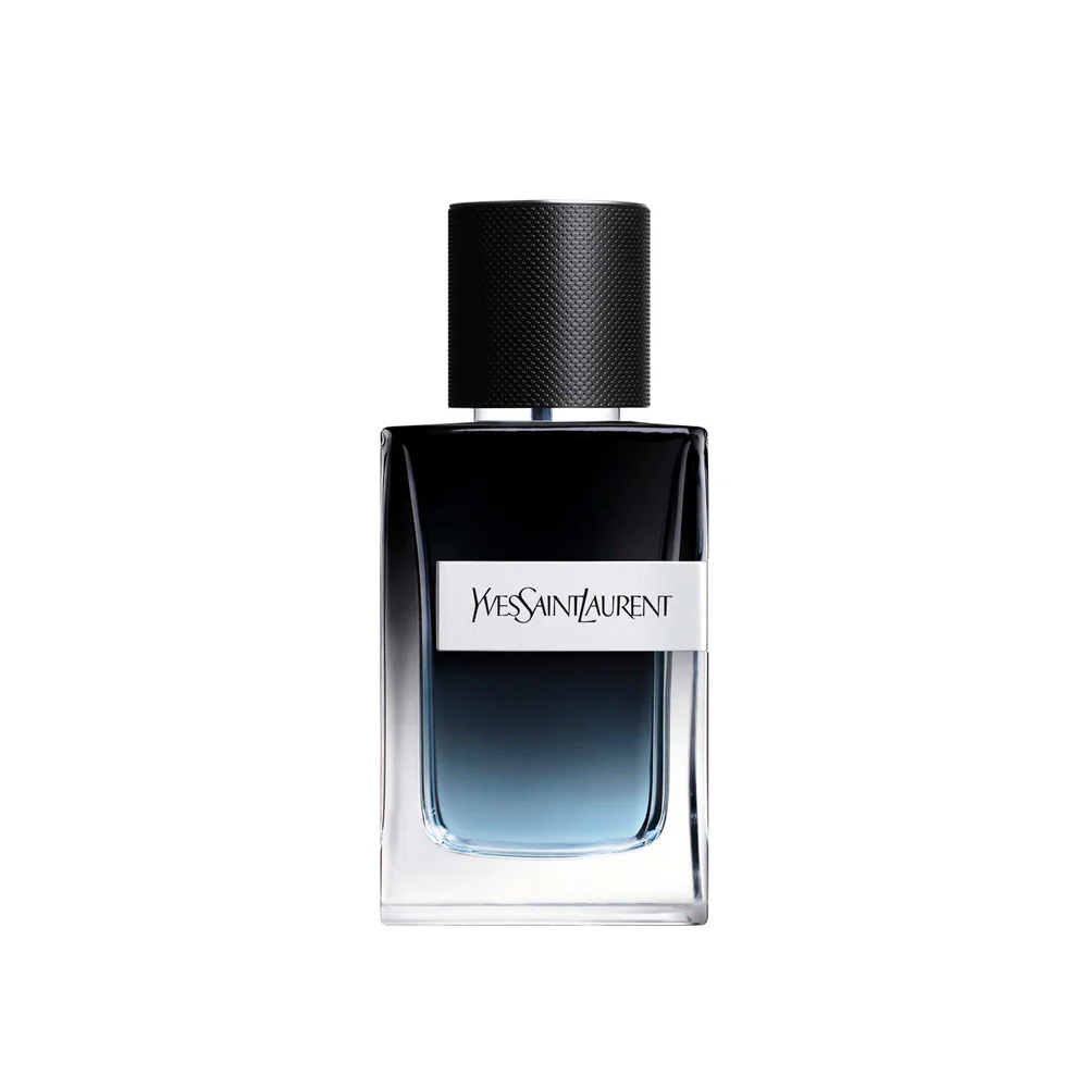 Y Edp - Image 6